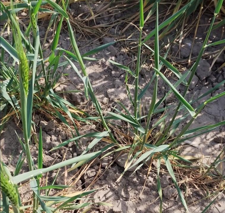 WhatsApp Image 2023-09-26 at 3.45.15 PM