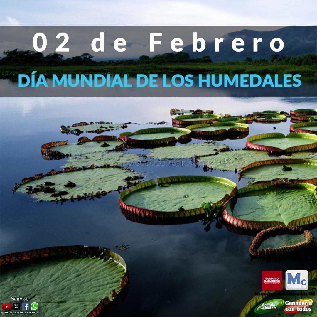 WhatsApp Image 2024-02-02 at 10.12.52