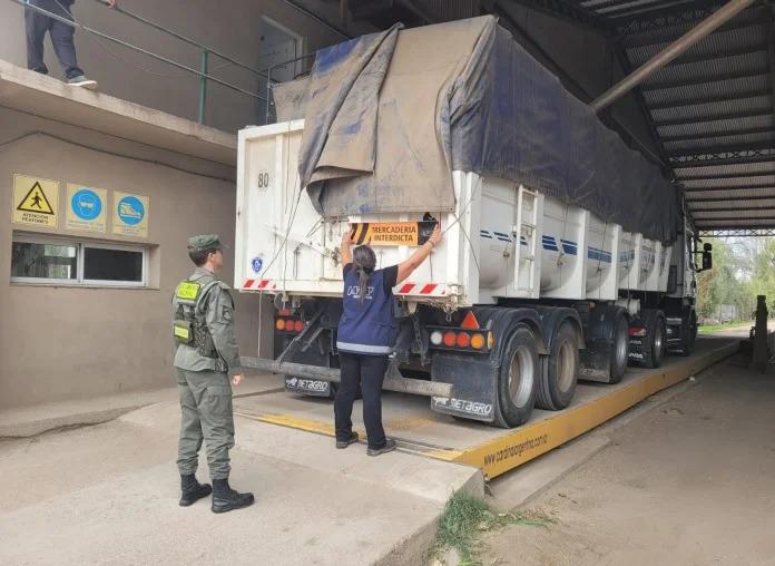 WhatsApp Image 2023-08-02 at 3.08.03 PM