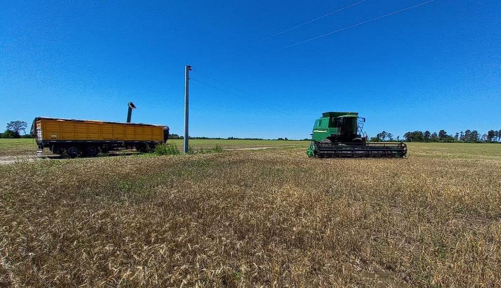 WhatsApp Image 2023-11-08 at 08.41.26