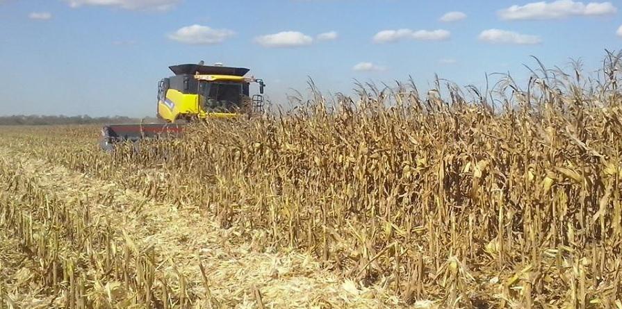 WhatsApp Image 2024-01-11 at 07.59.46