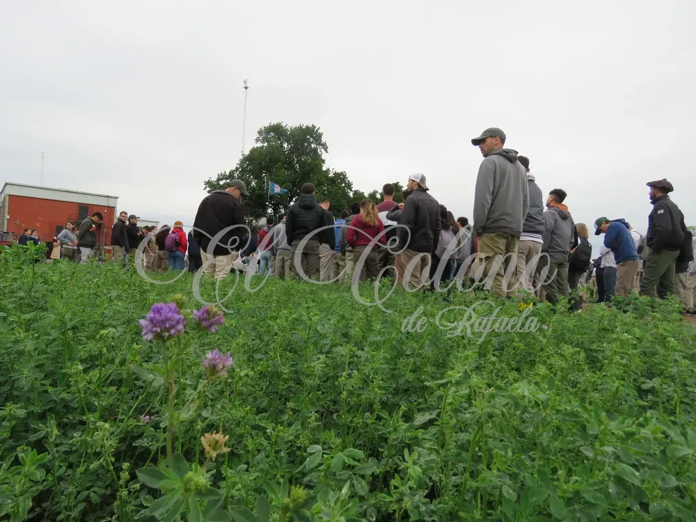 WhatsApp Image 2024-10-17 at 14.24.37 (1)