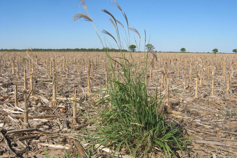 WhatsApp Image 2024-03-12 at 14.47.53