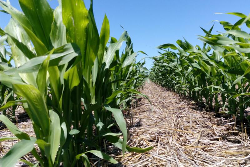 WhatsApp Image 2023-08-11 at 10.40.16 AM