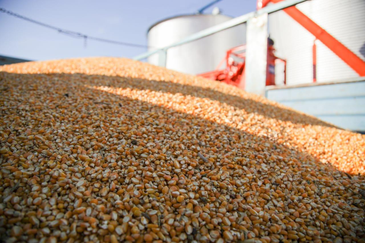 WhatsApp Image 2023-10-30 at 14.34.26