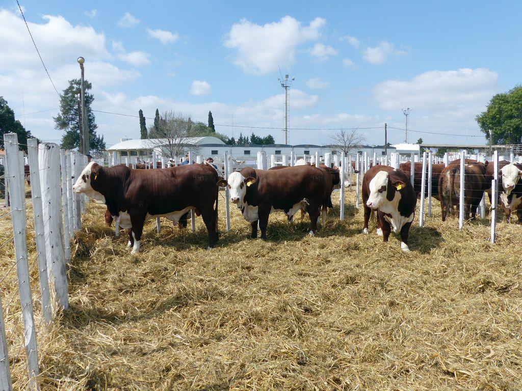 WhatsApp Image 2023-09-25 at 3.34.41 PM