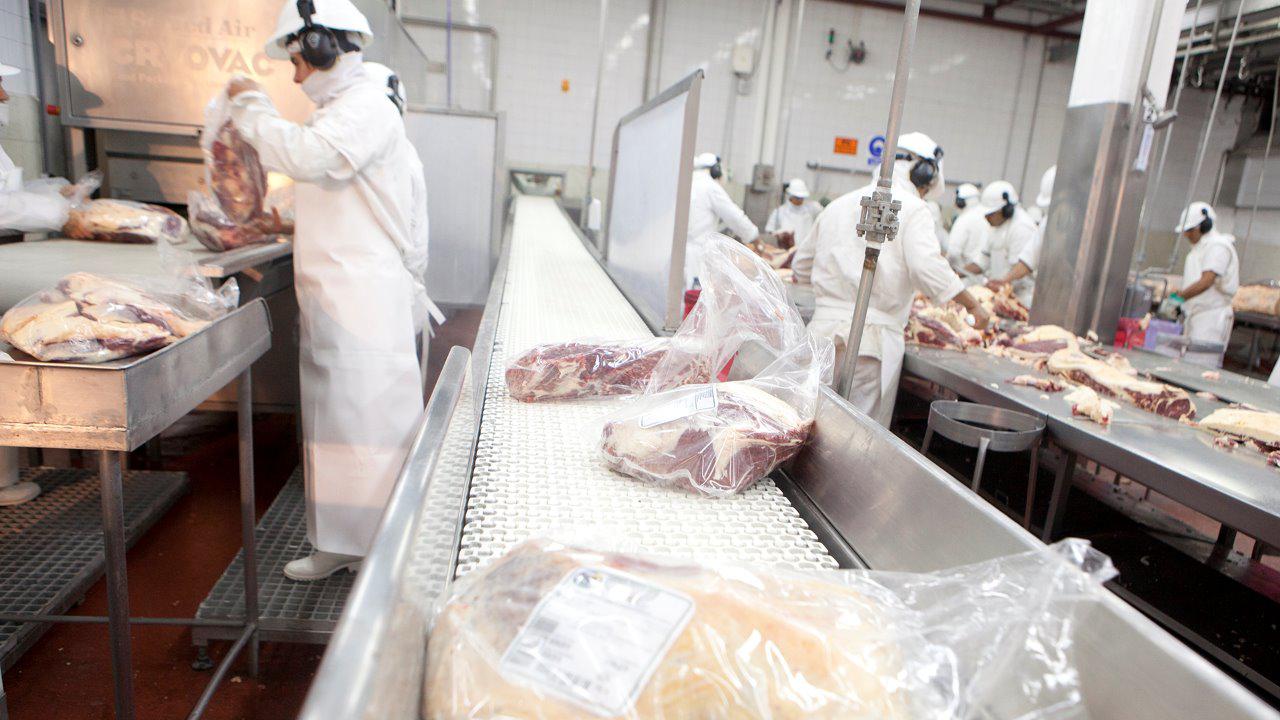 WhatsApp Image 2023-08-15 at 2.09.55 PM