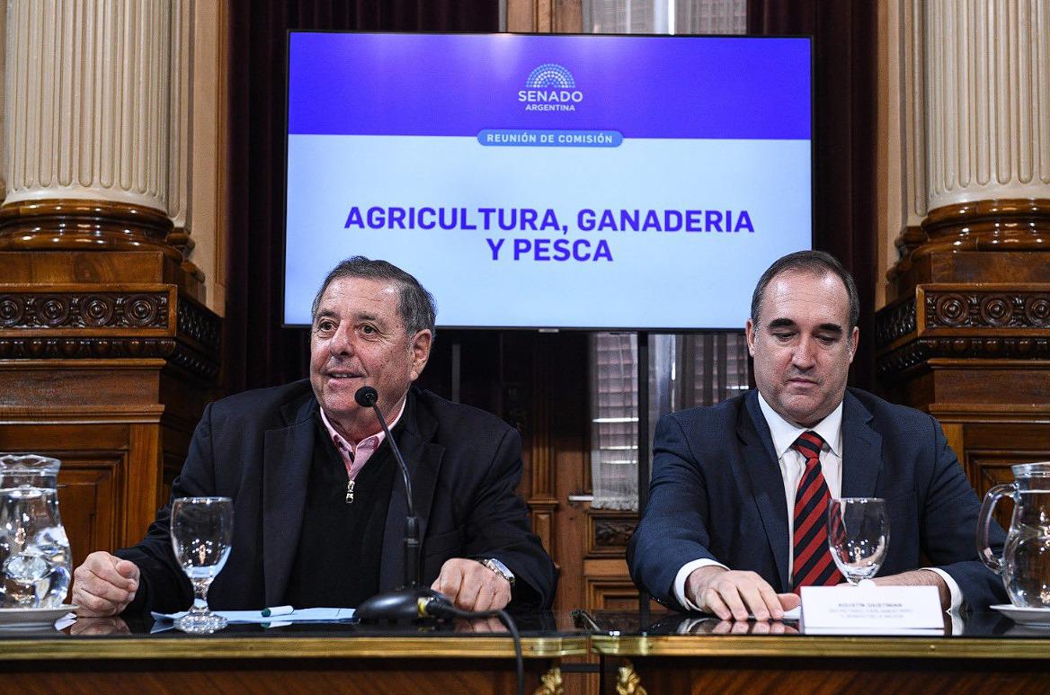 WhatsApp Image 2024-04-11 at 08.53.10