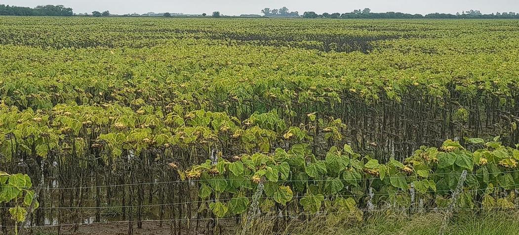 WhatsApp Image 2024-03-01 at 08.30.47 (1)