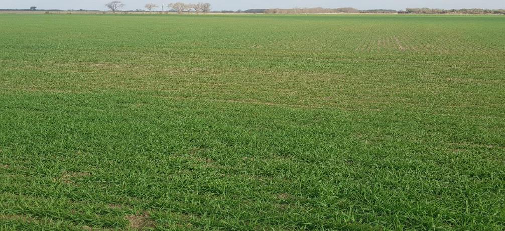 WhatsApp Image 2023-08-17 at 9.17.37 AM