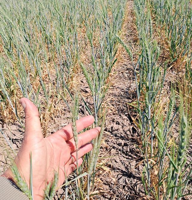 WhatsApp Image 2023-09-29 at 7.58.59 AM