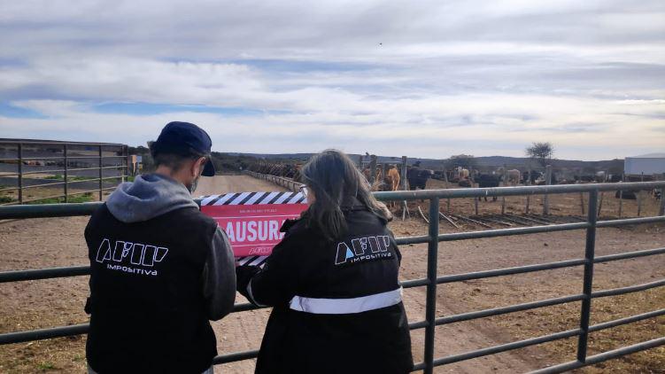 WhatsApp Image 2023-09-12 at 1.37.57 PM