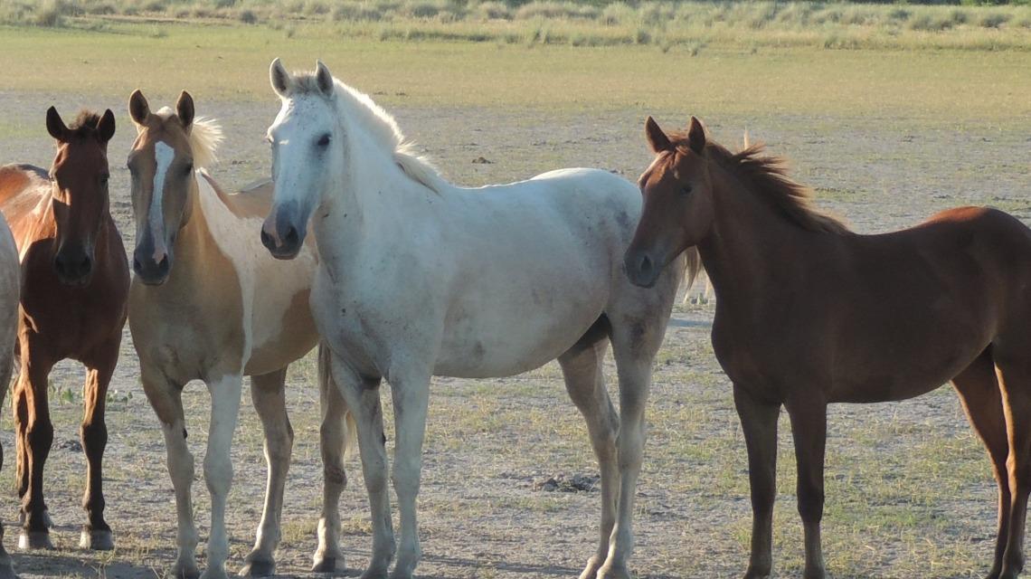 WhatsApp Image 2023-11-27 at 16.00.22