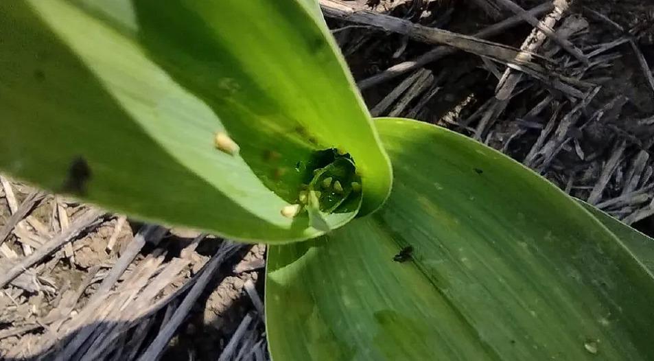 WhatsApp Image 2024-03-25 at 11.18.10