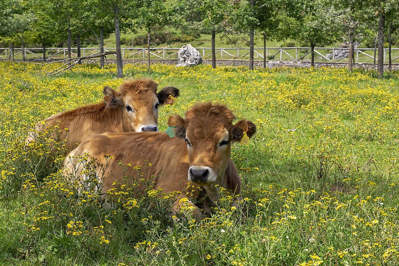 WhatsApp Image 2023-11-23 at 08.46.12