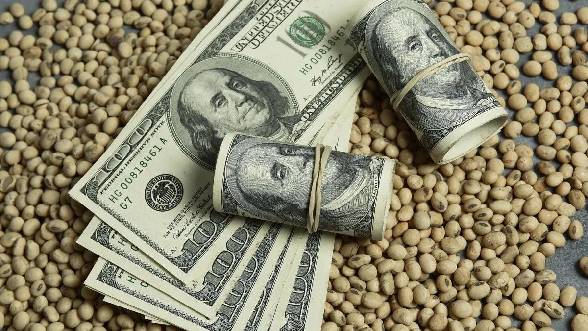 dolar