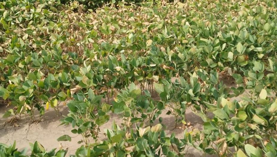 WhatsApp Image 2024-02-09 at 09.03.03