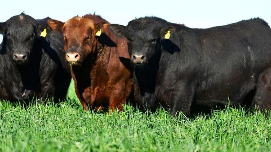 WhatsApp Image 2023-10-12 at 15.53.06