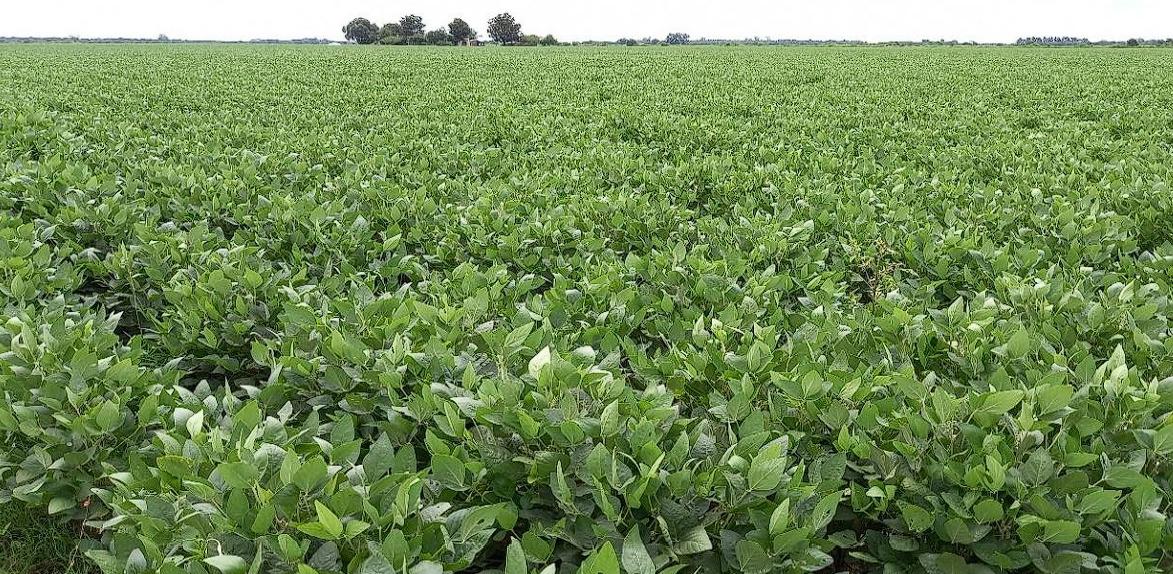 WhatsApp Image 2024-03-13 at 08.43.56