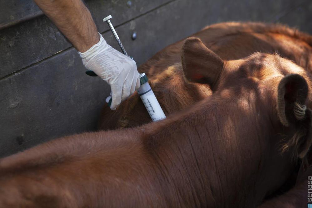 WhatsApp Image 2024-03-21 at 11.04.25