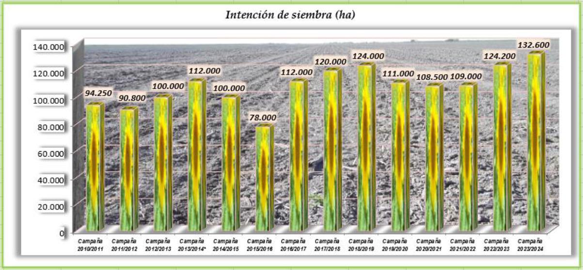 WhatsApp Image 2023-08-17 at 8.10.27 AM