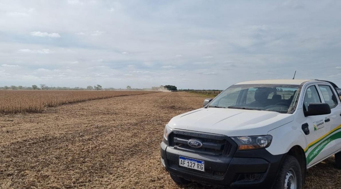 WhatsApp Image 2024-03-28 at 15.35.31