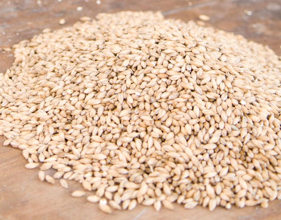 WhatsApp Image 2023-10-30 at 14.36.25