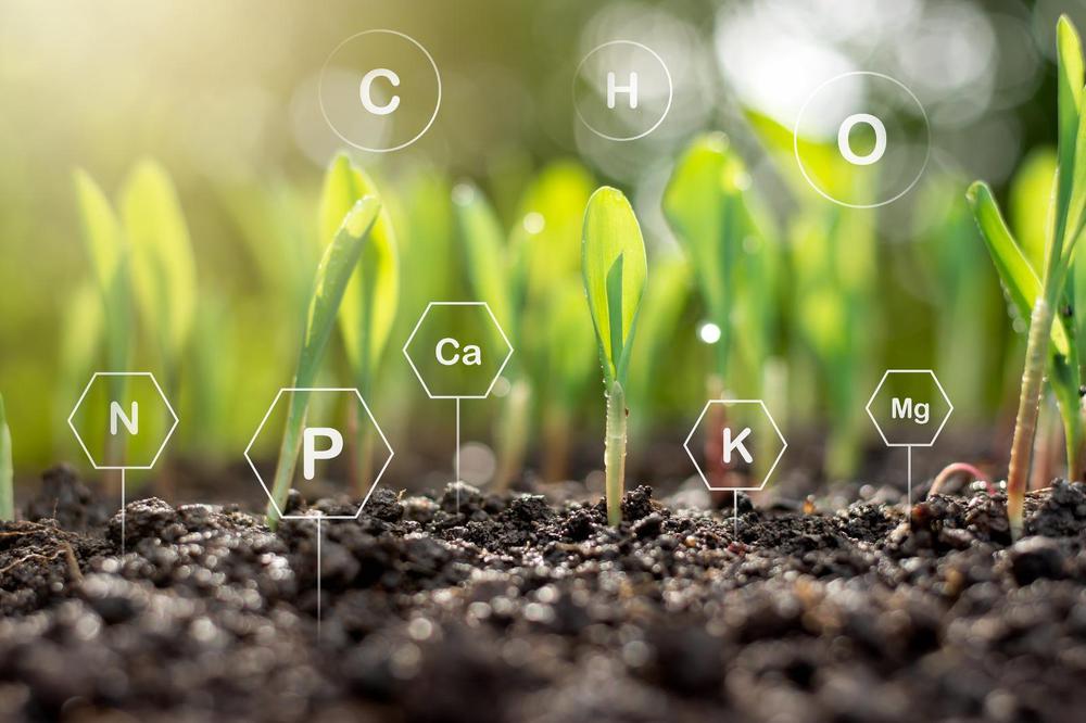 WhatsApp Image 2023-10-20 at 08.49.42