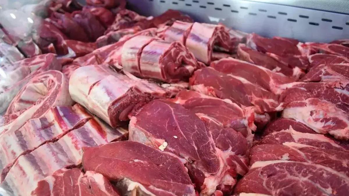 WhatsApp Image 2024-02-15 at 08.33.40