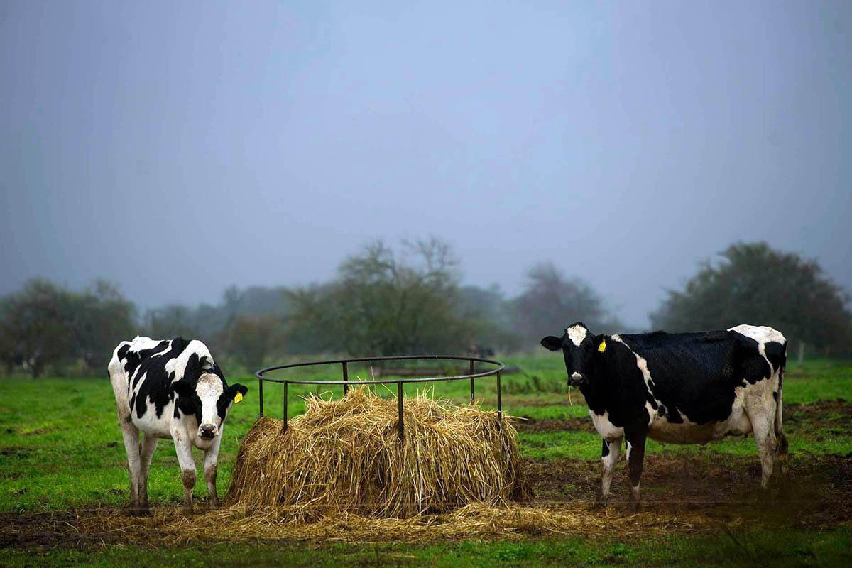 WhatsApp Image 2023-10-25 at 15.52.07