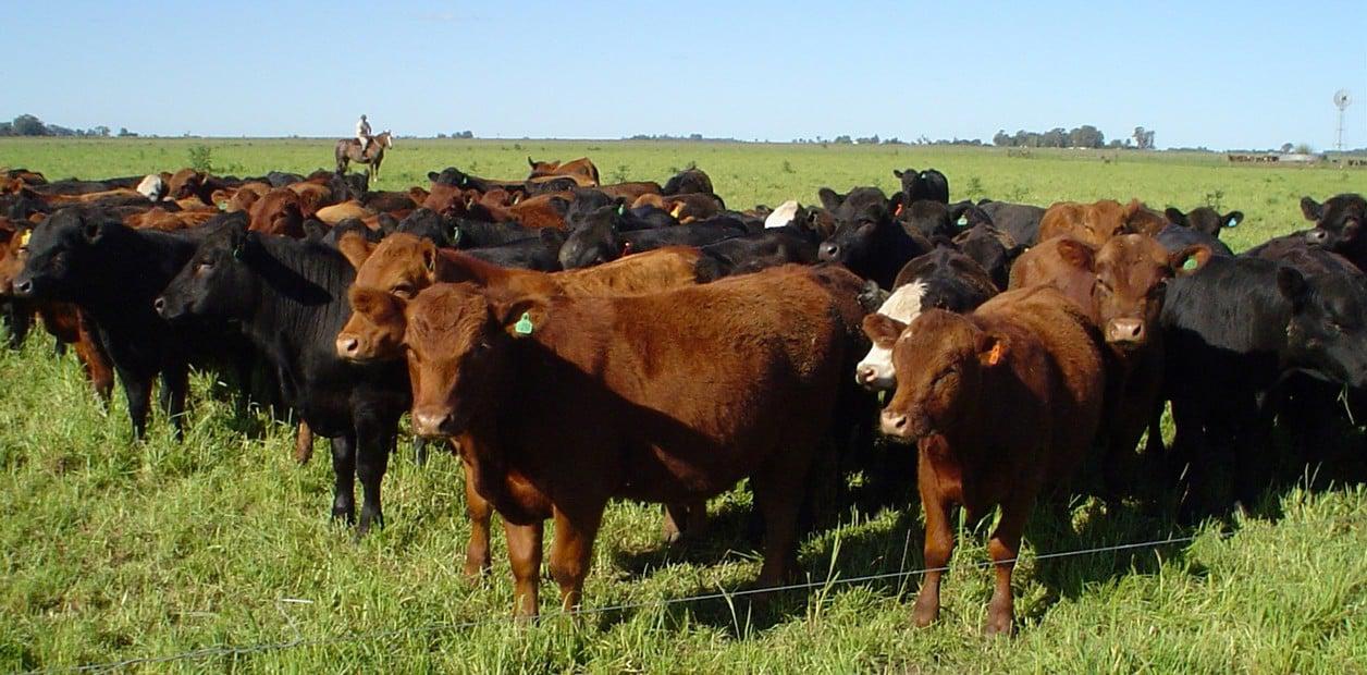 WhatsApp Image 2023-08-11 at 6.28.37 PM