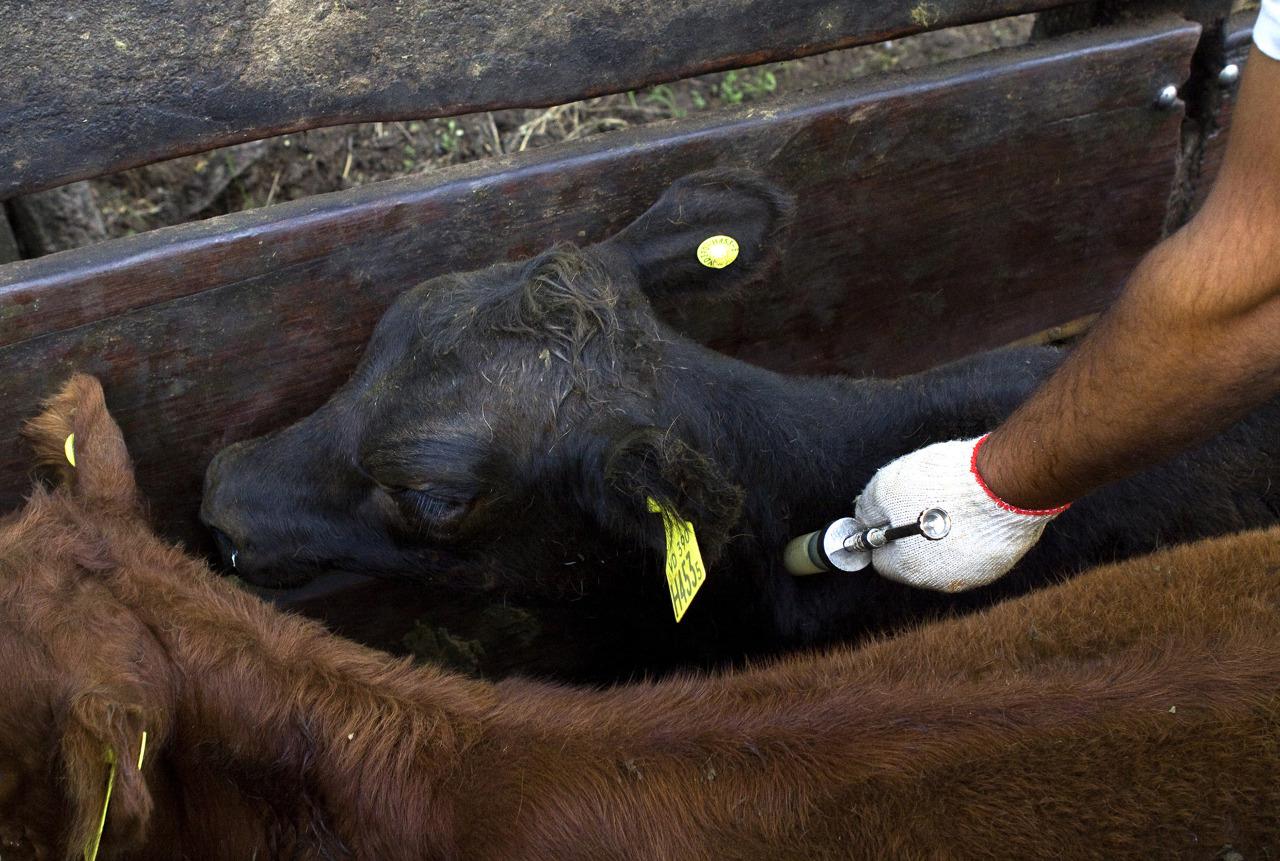 WhatsApp Image 2024-04-10 at 14.53.42