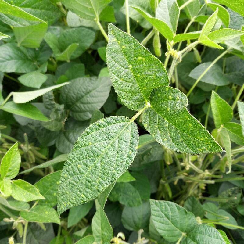 WhatsApp Image 2024-03-12 at 08.16.51