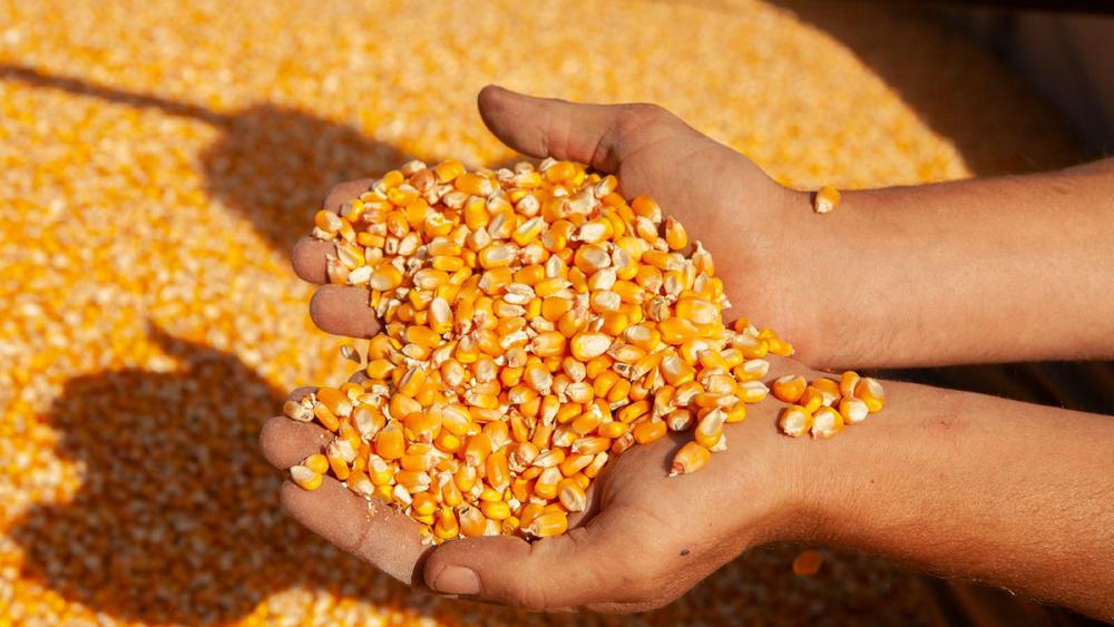 WhatsApp Image 2023-09-01 at 6.46.19 PM