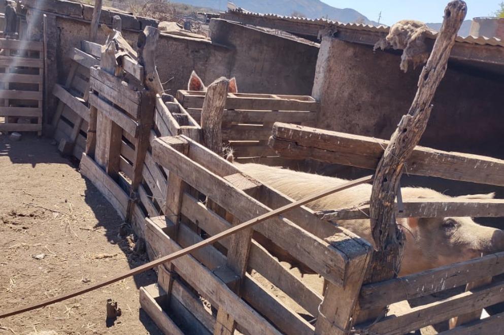 WhatsApp Image 2023-09-29 at 8.29.38 AM