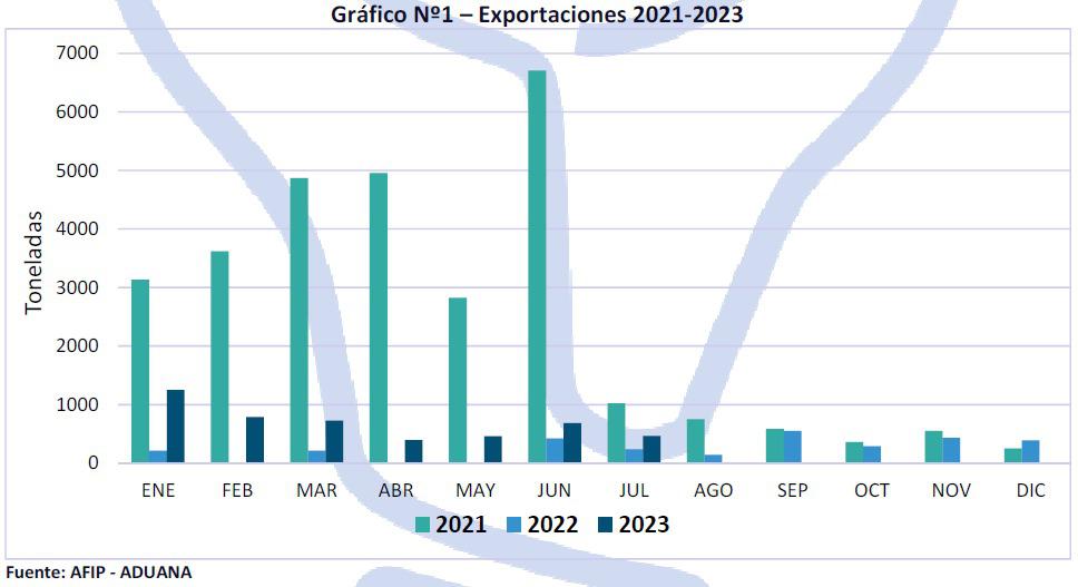 WhatsApp Image 2023-08-07 at 8.07.03 AM