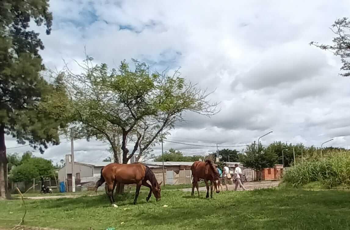 WhatsApp Image 2024-01-10 at 17.45.41