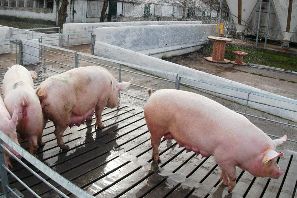 WhatsApp Image 2024-02-02 at 16.48.59