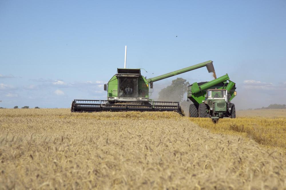 WhatsApp Image 2024-01-31 at 08.33.52