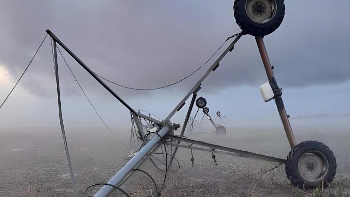 WhatsApp Image 2024-01-02 at 15.29.40