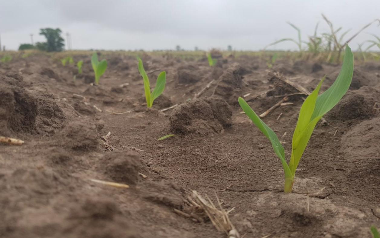 WhatsApp Image 2023-11-02 at 15.24.54