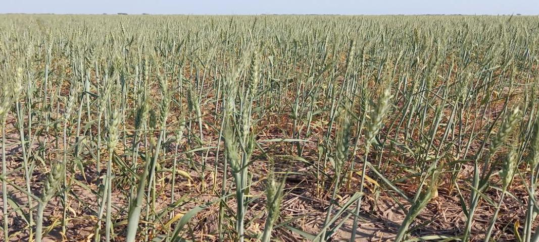 WhatsApp Image 2023-09-14 at 9.22.23 AM