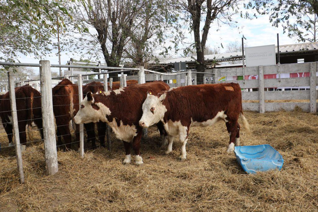 WhatsApp Image 2024-04-09 at 15.40.21