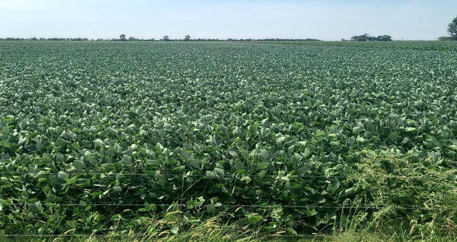 WhatsApp Image 2024-02-21 at 08.51.33