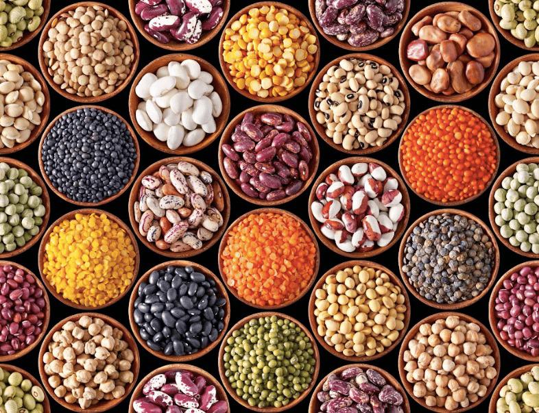 WhatsApp Image 2023-08-07 at 8.35.02 AM