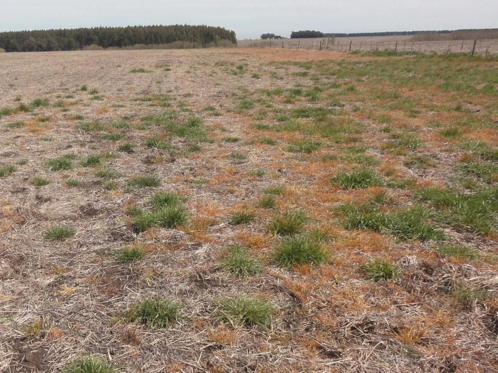 WhatsApp Image 2023-09-04 at 8.25.46 AM