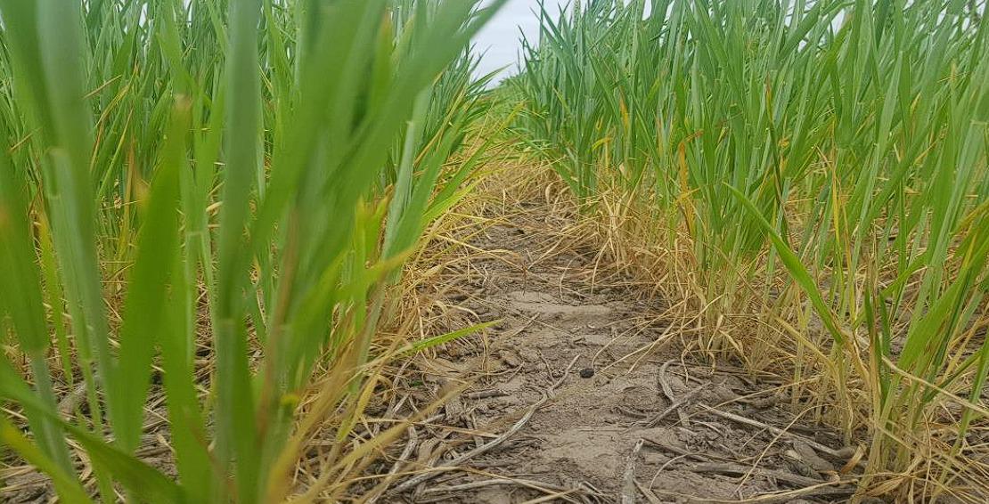 WhatsApp Image 2023-09-21 at 8.13.01 AM