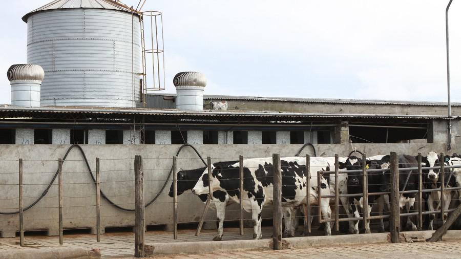 WhatsApp Image 2023-09-20 at 8.02.31 AM