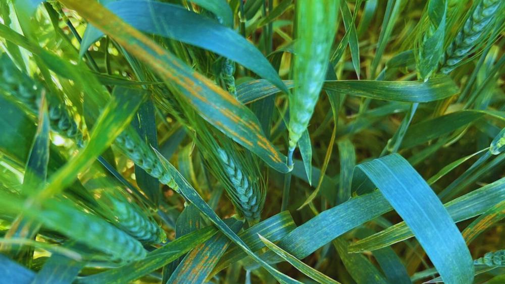 WhatsApp Image 2023-10-09 at 09.53.58