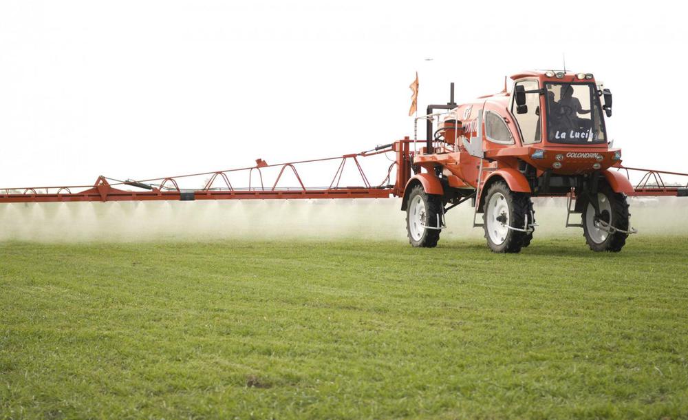 WhatsApp Image 2023-12-01 at 18.03.32